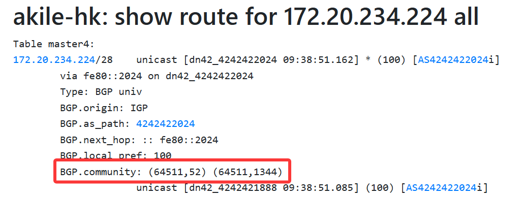 akile-hk: show route for 172.20.234.224 all